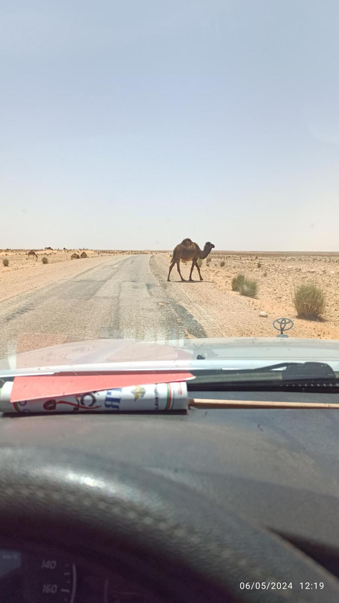 Dar Lagune Djerba Vue De Mer Al Haddadah Ngoại thất bức ảnh