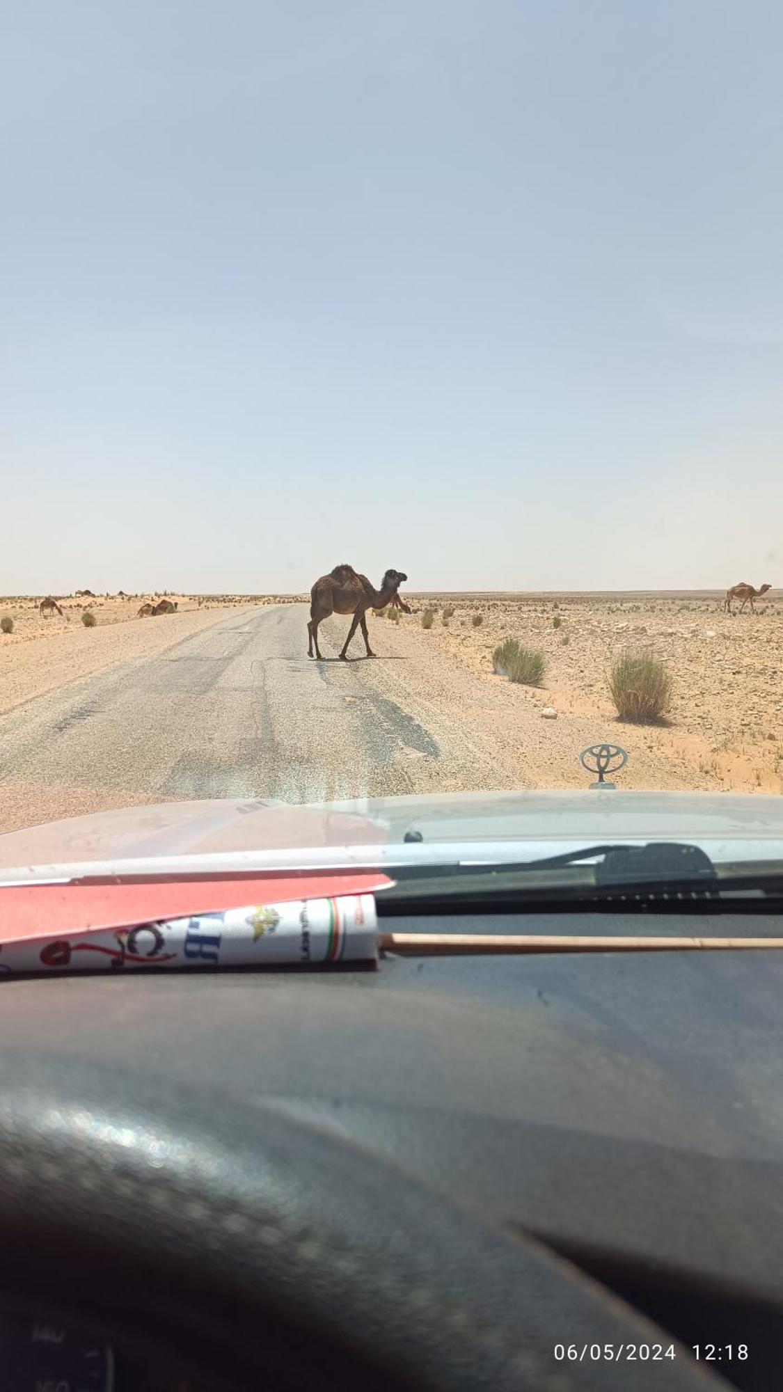 Dar Lagune Djerba Vue De Mer Al Haddadah Ngoại thất bức ảnh