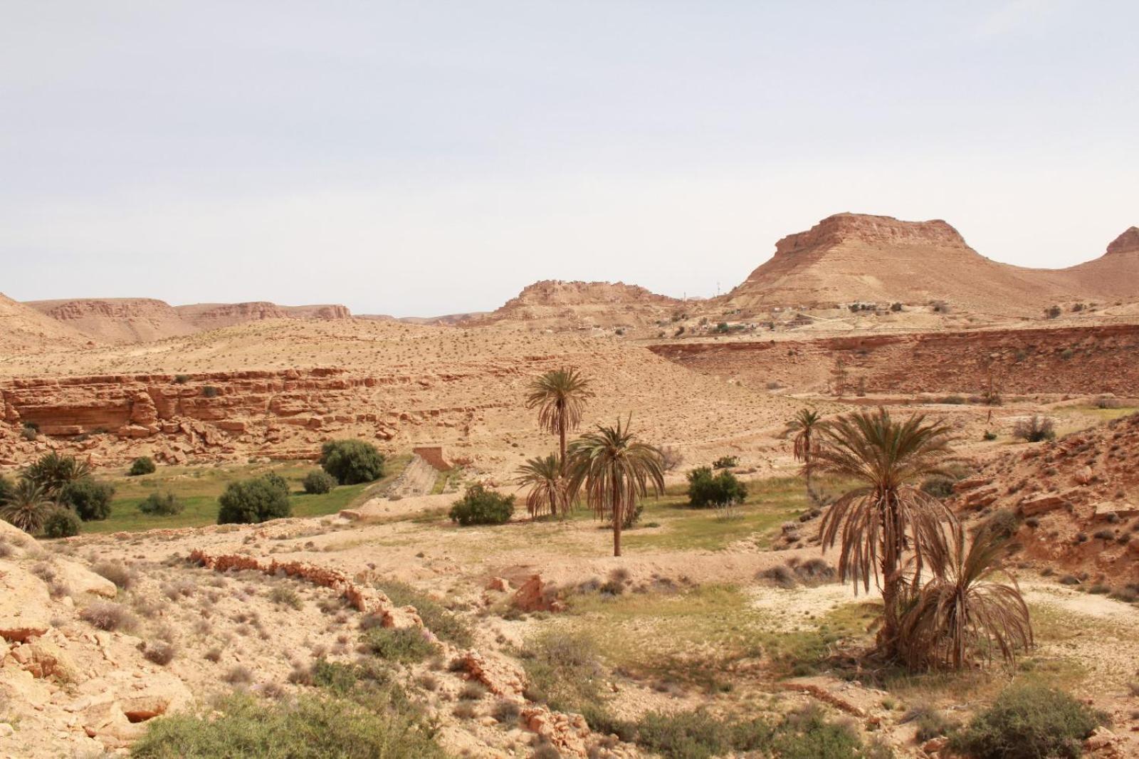 Dar Lagune Djerba Vue De Mer Al Haddadah Ngoại thất bức ảnh