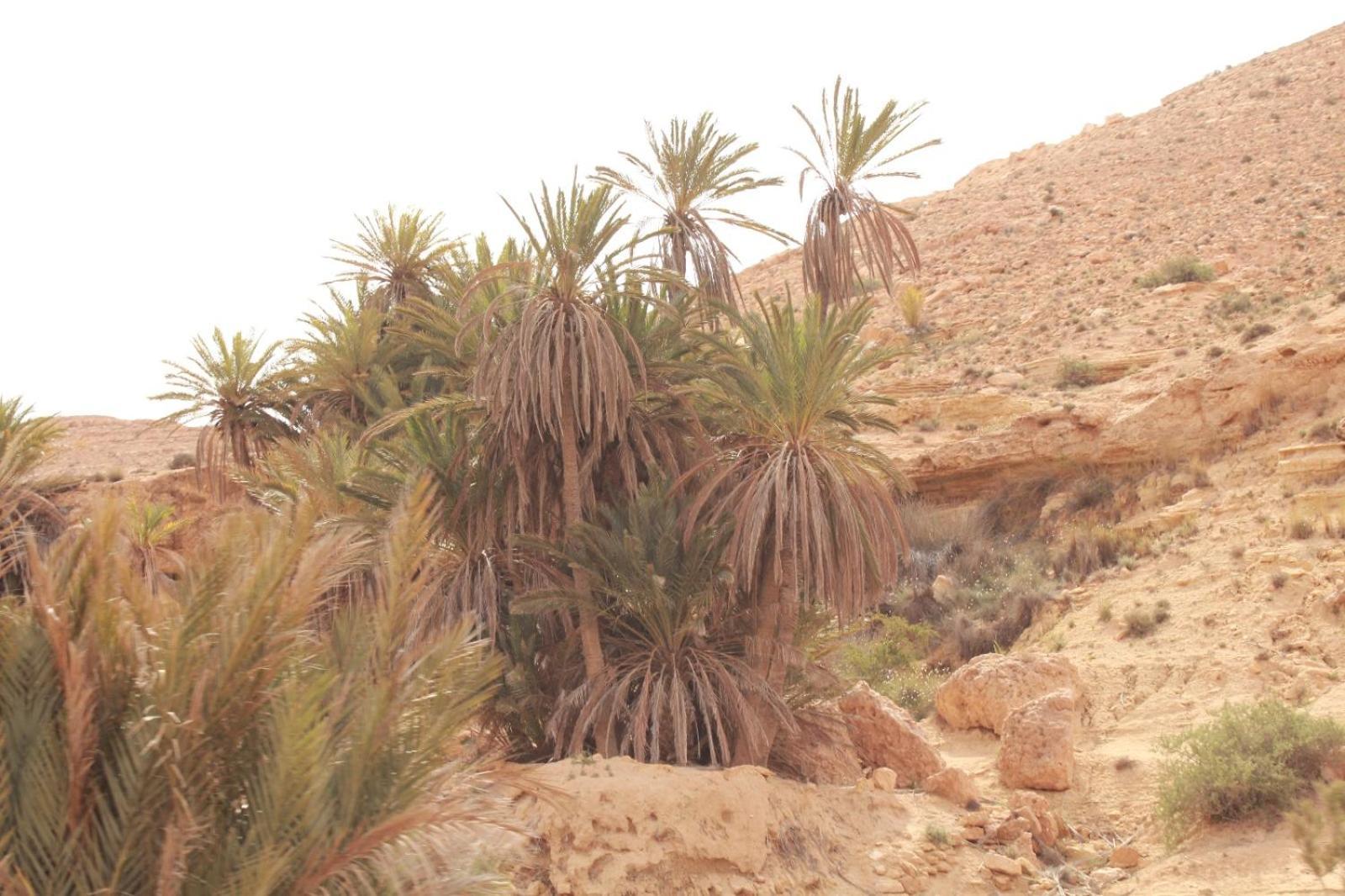 Dar Lagune Djerba Vue De Mer Al Haddadah Ngoại thất bức ảnh